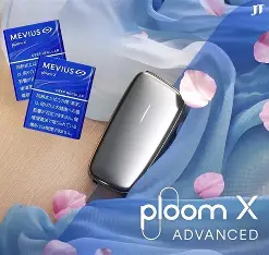 PLOOM專用煙蛋 駱駝Camel加熱菸|七星MEVIUS 加熱菸推薦